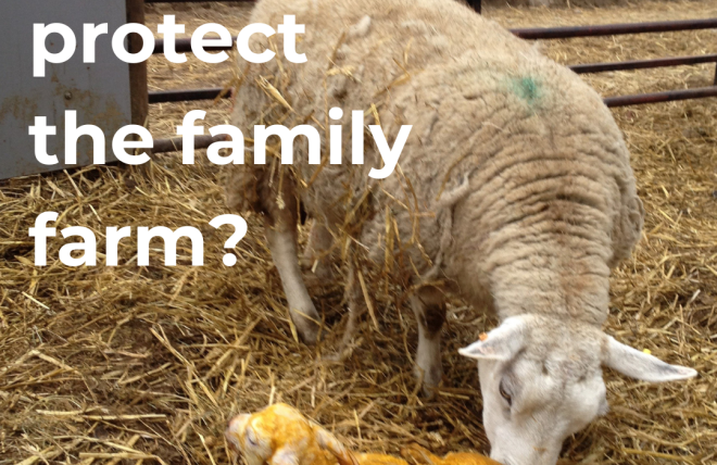 New Accession free guide to protecting your family farm published – actions you can take now against new tax rules and new risks